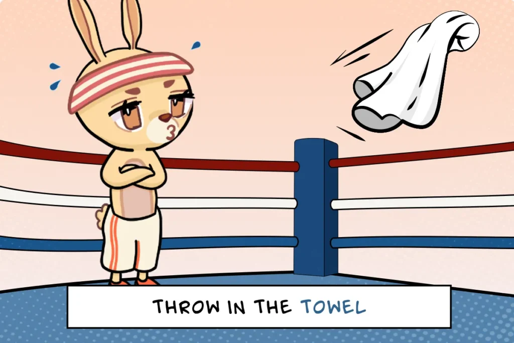 Everyday sports idioms like hit it out of the park, throw in the towel, and keep your eye on the ball