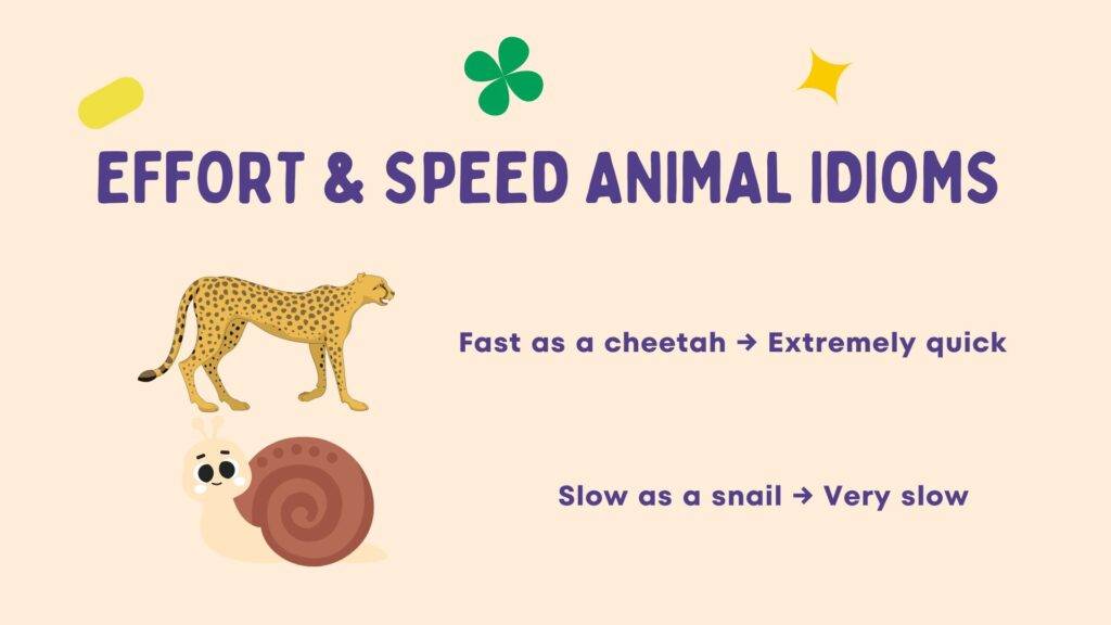 effort & speed animal idioms in 50 idioms with animals