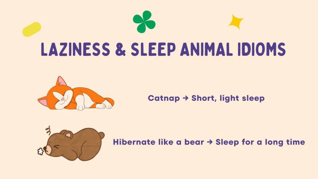 laziness animal idioms in 50 idioms with animals list